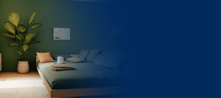 Transform Your Space with Premium Paint Solutions